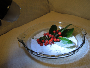 Photo of bowl of sugar with berry cuttings